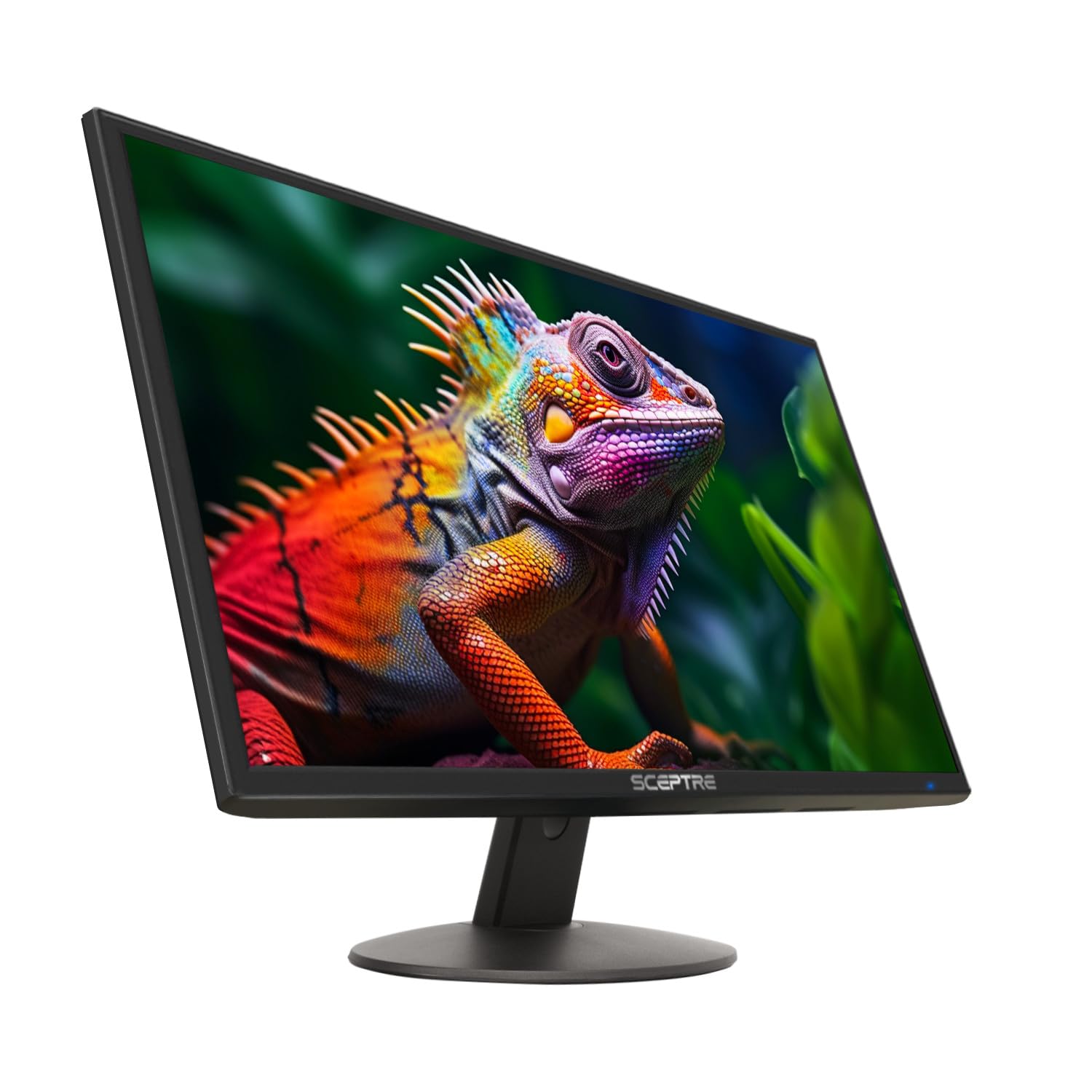 Choosing the Right Monitor for Your Needs