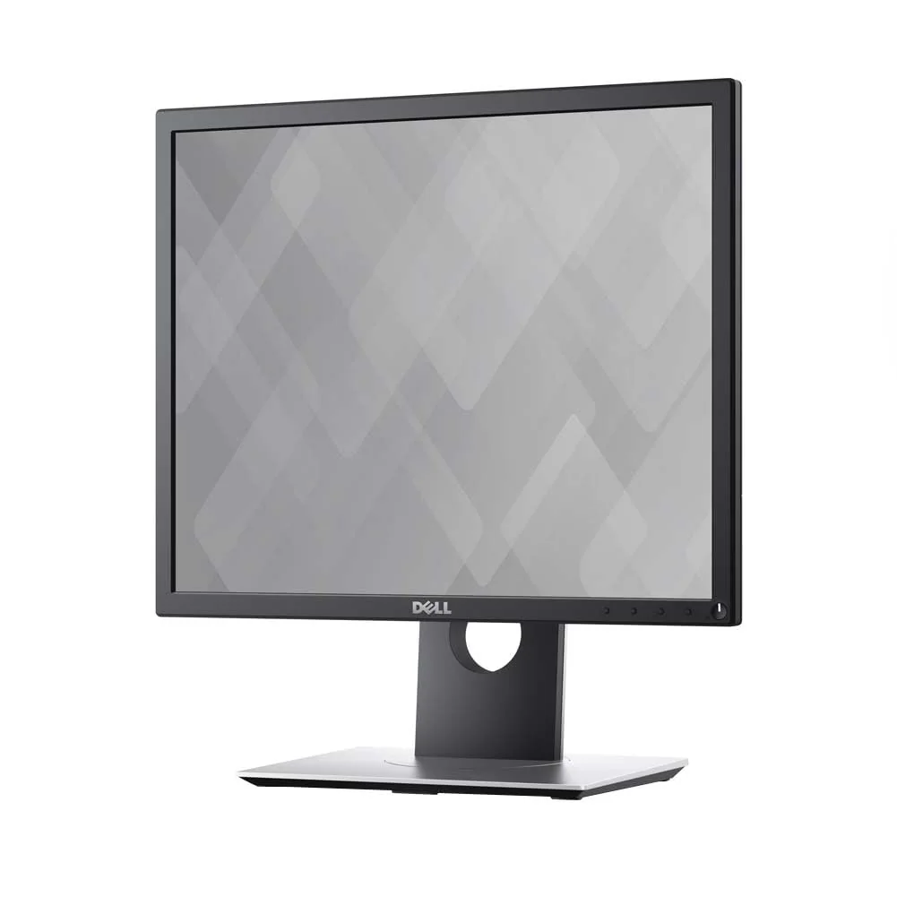 Choosing the Right Computer Monitor: A Closer Look at the Dell P1917S